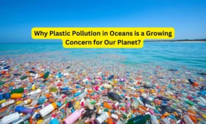 Why Plastic Pollution in Oceans is a Growing Concern for Our Planet