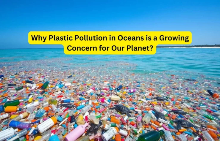 Why Plastic Pollution in Oceans is a Growing Concern for Our Planet