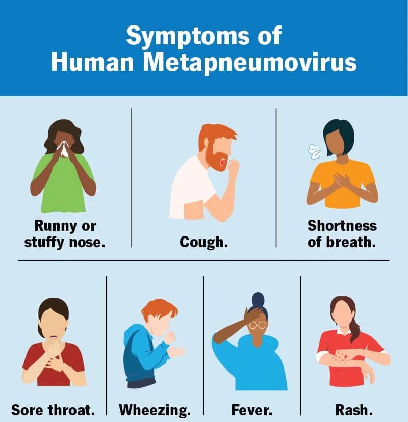 Human Metapneumovirus (hMPV): Symptoms, Complications, and Prevention Strategies 2 Human Metapneumovirus