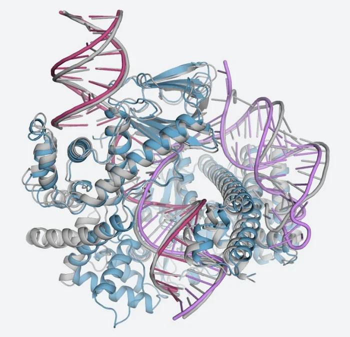 AI in Scientific Research: Accelerating Breakthroughs in Medicine, Space, and More 2 AlphaFold AI in Scientific Research