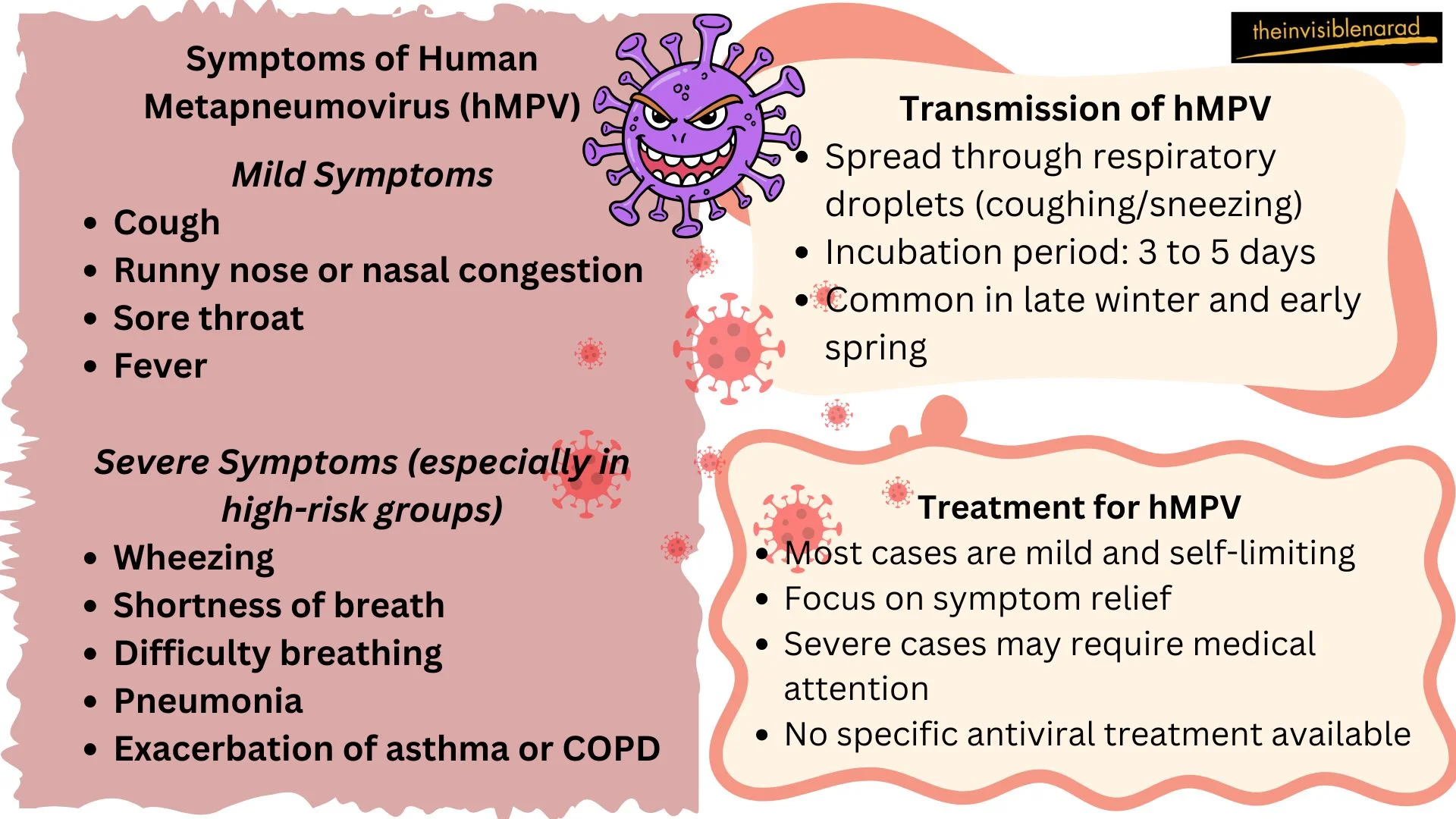 Human Metapneumovirus (hMPV): Symptoms, Complications, and Prevention Strategies 3 Human Metapneumovirus