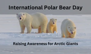 International Polar Bear Day: Raising Awareness for Arctic Giants
